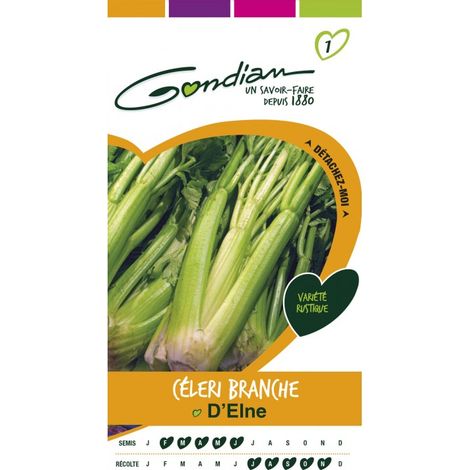 Gondian - Céleri Branche D'Elne