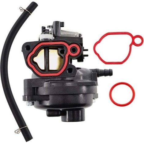 Carburateur Compatible Pour Moteur 725EX Et Modèles Similaires – Référence 799584 Et 799583 – Filtre À Air Intégré (1/4)