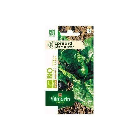 Vilmorin sachet de graines épinard géant d'hiver Bio (1/4)