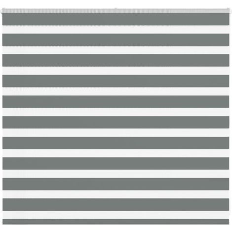 Doppelrollo Dunkelgrau 155x100 cm Stoffbreite 150,9 cm Polyester