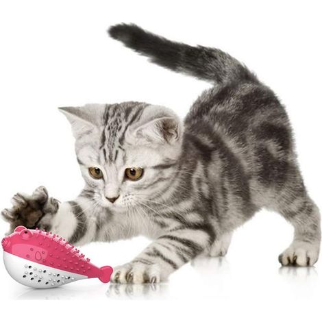 Jouet Dentaire Chat, Jouet pour Chat Jouet Molaire en SiliCône à Macher Jouet Chaton Cataire Brosse à Dents Forme de Poisson Jouet Interactif Hygiène Dentaire Chat(Rose)-Fei Yu (1/4)