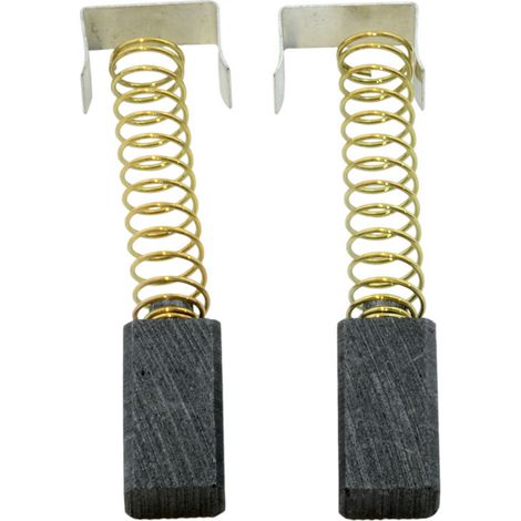 Balais de Charbon pour Bosch Taille-Haies AHS 60 - 5x8x15,5mm
