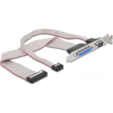 Delock Slotblech - Parallel 1 x Port + Seriell 1 x Port ca. 30 cm Belegung gedreht