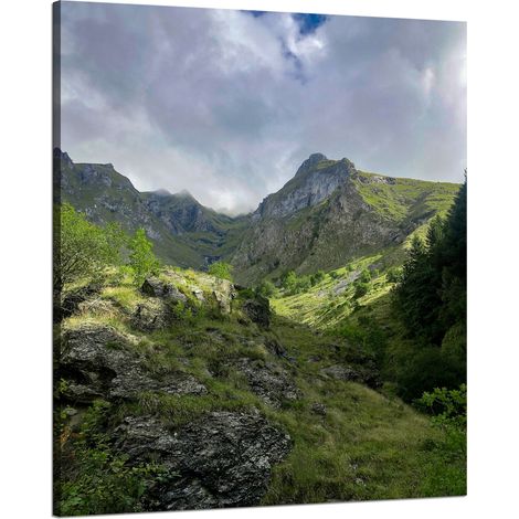 Leinwanddruck Natur Überwucherte Berge 80x100 cm