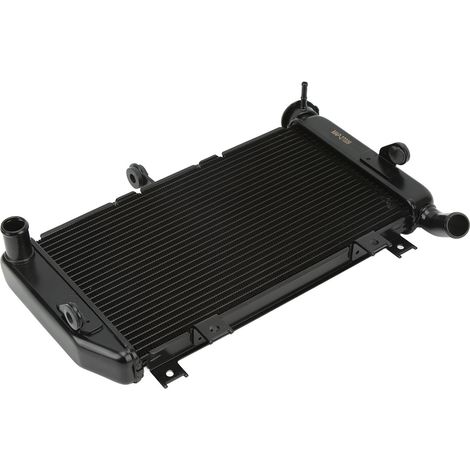 Réservoir d'eau, radiateur, accessoire de refroidissement de remplacement pour Ninja 400 2018-2021, noir (1/5)