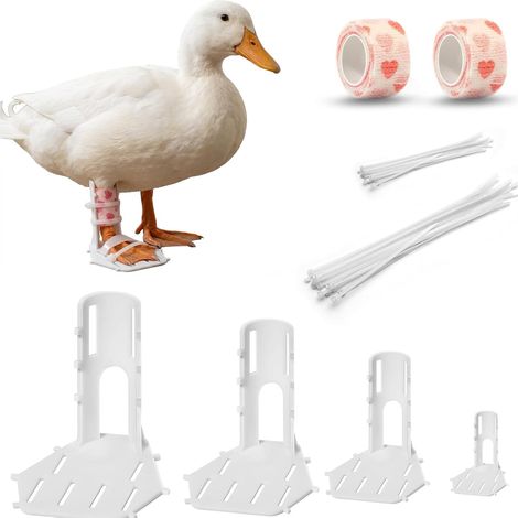 Attelle Pattes Volaille Attelles pour Pattes de Poulet (1/5)