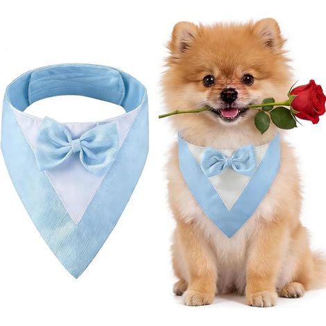 Tuxedo for Dogs, Wedding Collar for Dogs with Tuxedo Bow Tie for Small Dog Costume (Neck: 20-30 cm/Blue) (1/3)