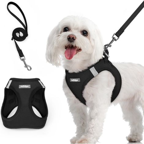 Harnais pour Chien Réglable et Laisse Confortable avec Bandes Réfléchissantes pour Petit Chien et Chiot (1/5)