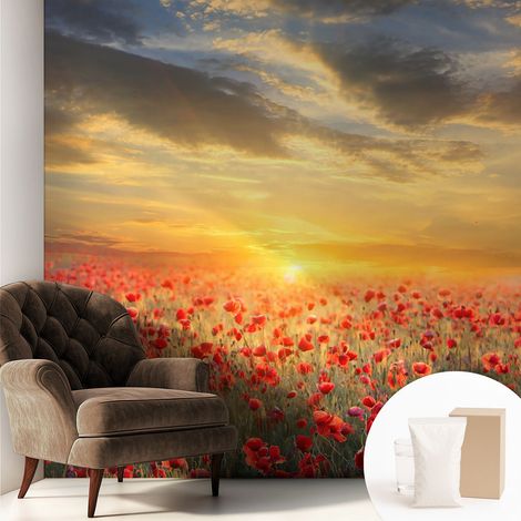 Carta Da Parati - Murale Alla Moda Decorazione - Camera Da Letto - Con Colla Gratuita Campo di papaveri 250x250 cm (1/5)