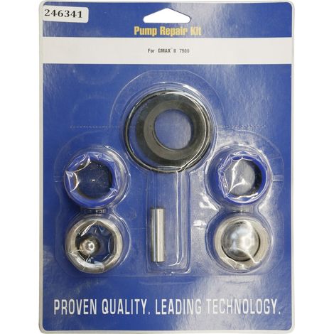 DOMINO Kit de réparation pour pompe Graco  référence 246341