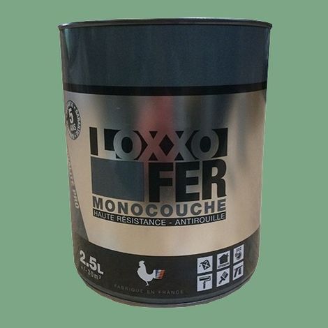 Peinture fer antirouille 2,5 L – Vert pâle – Très résistante – Protection durable pour métaux ferreux et non-ferreux – Loxxo (1/2)