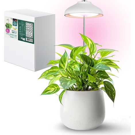 Lampe pour plantes LED blanche à planter télescopique 5 W avec minuterie USB VERDI Kobi (1/5)