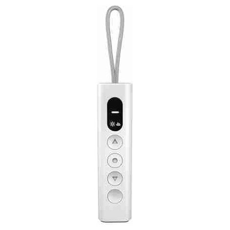 Trasmittente Telecomando Radiocomando 1 Canale FAAC TM2 POP 1S 433 Mhz