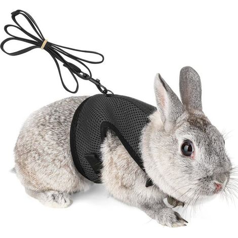 Kleintierleine: Kaninchen, Meerschweinchen, elastisches Band für Kleintiere, weiche Laufweste (S, schwarz) (1/5)