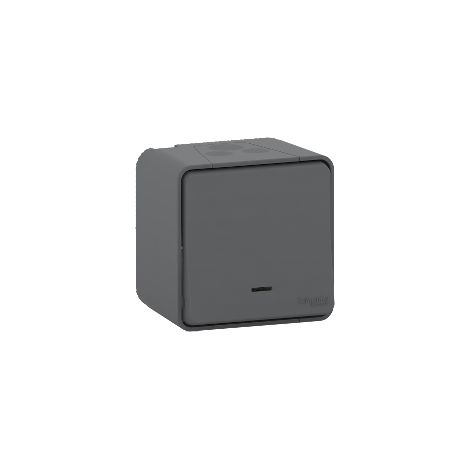 Pulsador MUREVA gris con LED IP55, 10 A y 250 V AC para interiores/exteriores
