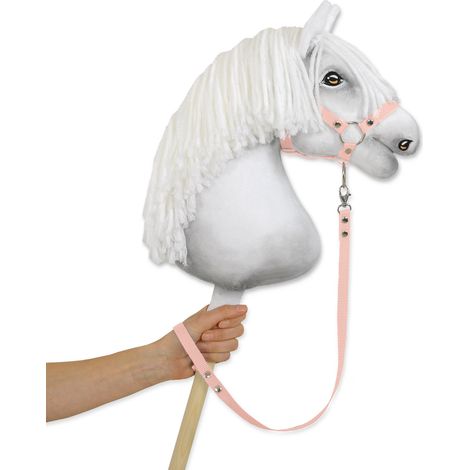 Cuerda guía de cinta Hobby Horse - rosa empolvado (1/2)