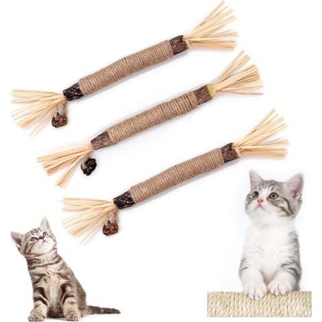 Bâtonnets Herbe à Chat, Bâtonnets à mâcher pour Chats, bâtonnets à mâcher pour Chats pour l'hygiène Dentaire et Contre la Mauvaise haleine (3 pièces) (1/4)