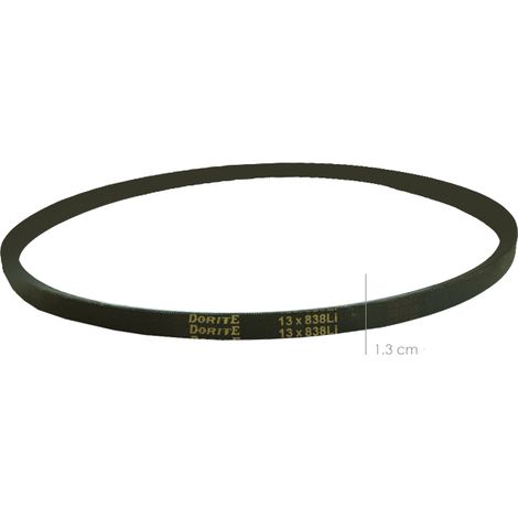 Courroie pour Biotriturateur BS7001E