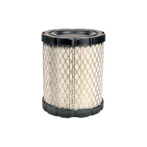 Filtre à air BRIGGS ET STRATTON 798897 (1/2)