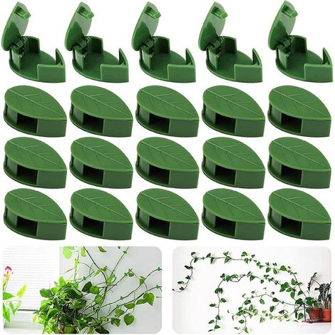 20 Pièces Clips de Fixation de Plantes Grimpantes Clip Mural Végétal Auto adhésif Plante Invisible Murale (1/5)