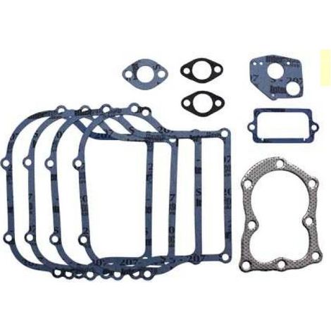 Serie guarnizioni BRIGGS & STRATTON motore 100200 130200 131200 132200 006889