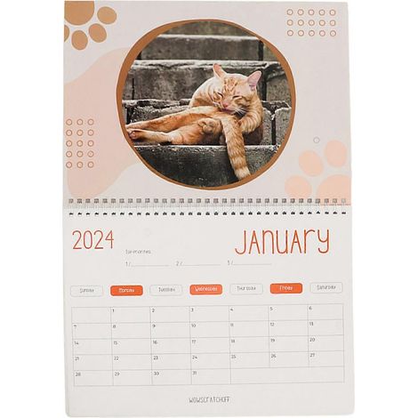Calendrier 2024 « Boules de chat » : 12 mois de dessins humoristiques sur les boules de chat. Calendrier « Trou du derrière de chat » pour les amoureux des chats. (1/4)