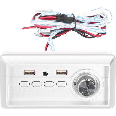 Amplificateur Audio Bluetooth 5.0 5W+5W avec Entrée AUX et Lecteur MP3 (1/5)