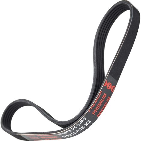 Keilrippenriemen PK 5PK813 (1/2)