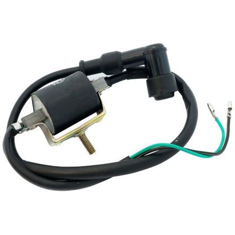 STI Bobina Accensione Standard per Pitbike 50cc – 125cc (1/5)