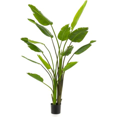 Strelitzia Nicolai Plante Artificielle 180 cm avec Pot Noir pour Décoration Intérieure - PANGIVO (1/4)