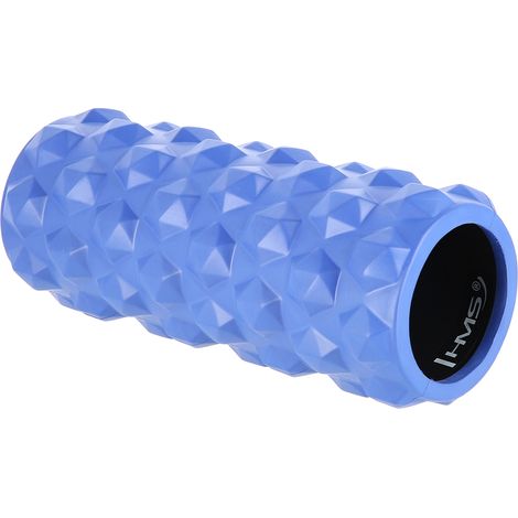FS107 ROLLER HMS (blu) 31,5 cm (1/5)