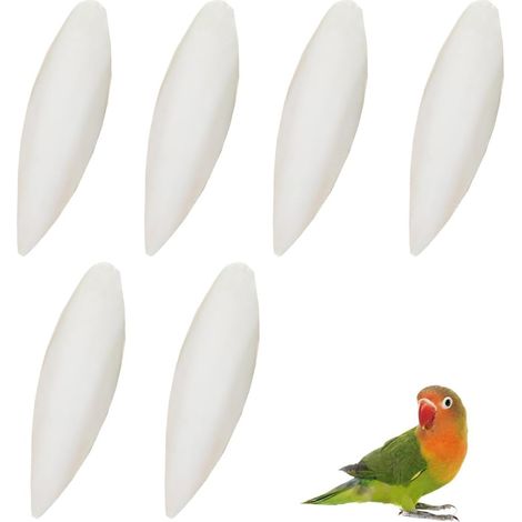 6 Os de Seiche Naturels 9-12cm - Complément Calcium - Pour Oiseaux Reptiles Tortues - Accessoire Cage (1/5)