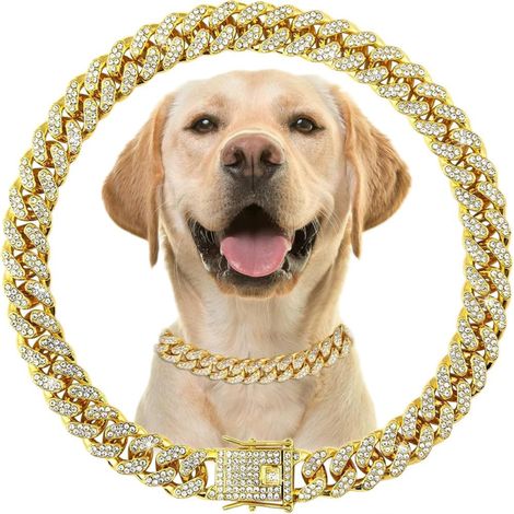 Collier cubain de diamants pour chiens et chats en métal, design de hebilla (Or, 12 Pulgadas) (1/5)