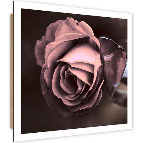 Quadro deco panel, Bella rosa - 40x40 (1/5)