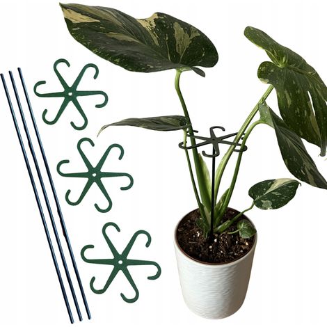 Supporto per piante e fiori Supporto robusto Pinza di supporto con asta M15cm x3 (1/5)