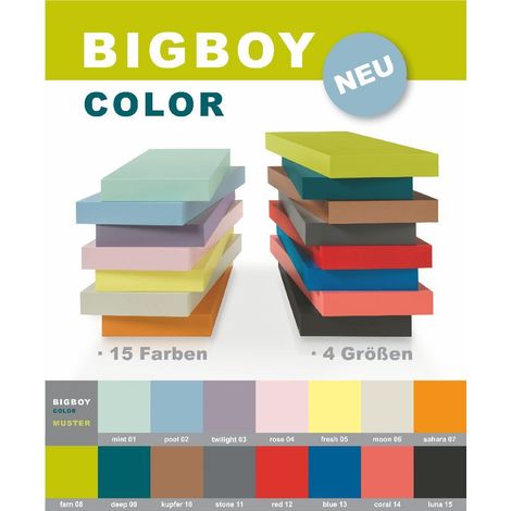 Dolle Regalboden Big Boy 57 x 25 cm, 50 mm, grau Regalboden
