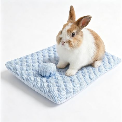 Tapis Lapin, Animaux de Compagnie Rafraichissant,Coussin pour Lapins, Cochon d'Inde, Chinchilla, Hamster et Petits Animaux, 41  30cm (1/5)