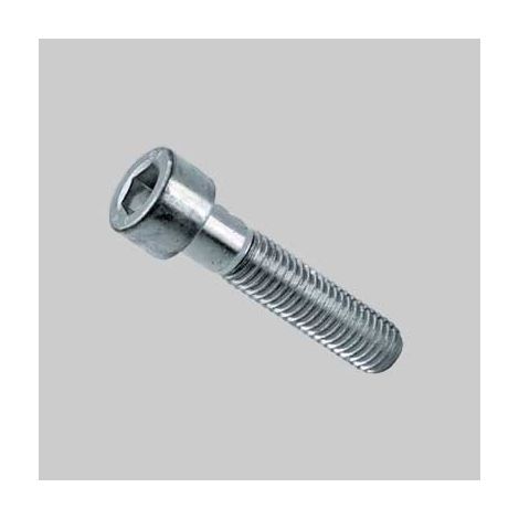 VITE T.C. CAVA ESAGONALE ZINCATA M6x10 - 500 pezzi