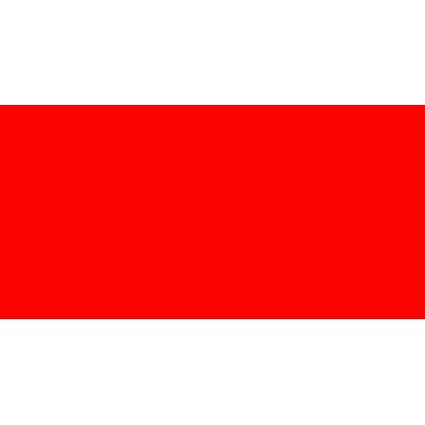 SMIT VISUAL, Symbole magnétique RECTANGLE, L x l 60 x 30 mm, (1/2)