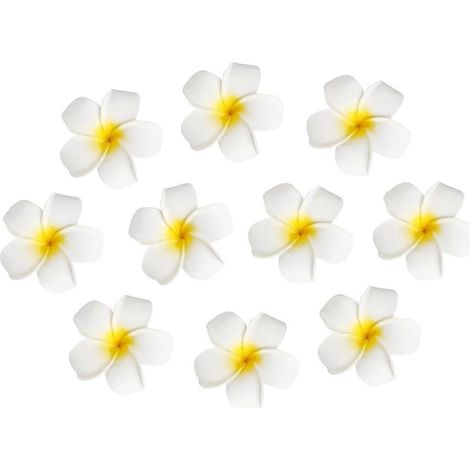 FRCOLOR Lot de 10 pinces à cheveux de 7 cm, motif fleur hawaïenne, œuf factice, coiffe pour fête hawaïenne sur la plage (blanc et jaune)-7.00X7.00X4.50CM (1/3)