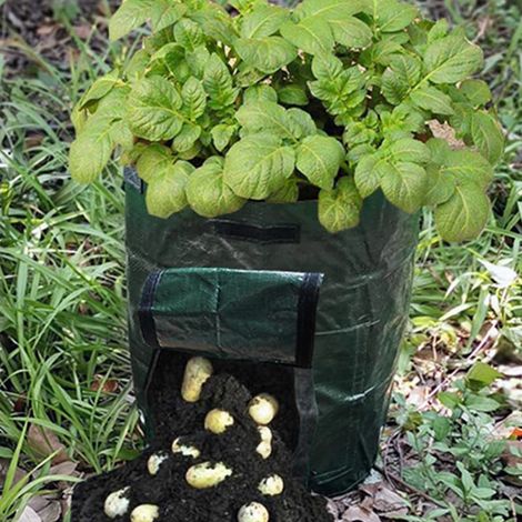 Sac multifonction pour feuilles de jardin, compost organique, sac de plantation, sac pour déchets de cuisine 45 x 80 cm (1/5)