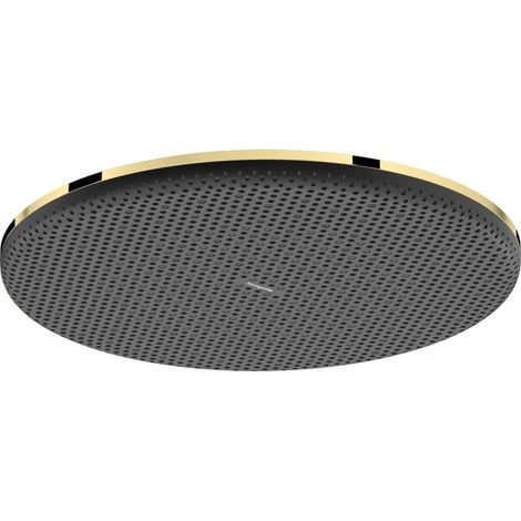 Hansgrohe 24523990 Tête de douche Raindance Alive Q