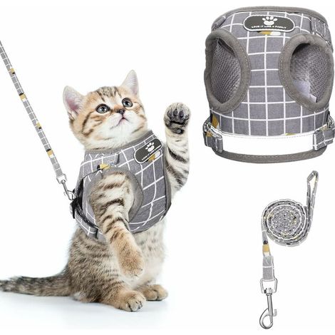 VURAHOME -Harnais pour Chat Anti-Évasion Harnais Réglable pour Chiot Harnais avec Laisse pour Chaton Harnais avec Gilet à Rayures pour Chien Harnais en Maille Respirante pour Chats Petits Chiens (S) (1/5)