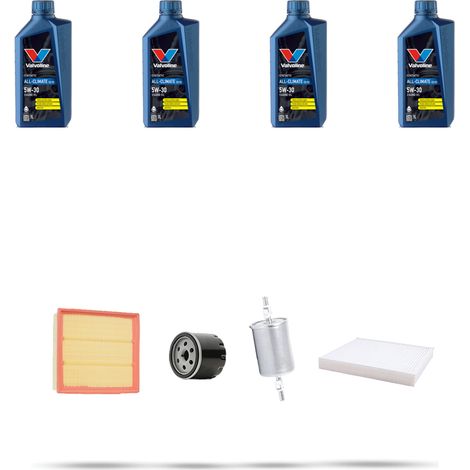 Kit tagliando 4 FILTRI e 4L OLIO compatibile con Opel Meriva A 1.6 16v 74kw Dal 2003 al 2006 (1/5)