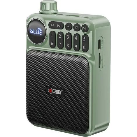 Mini radio FM (verte) - Rechargeable - Haut-parleur Bluetooth - Enregistreur, compatible carte TF, interface USB, prise casque 3,5 mm (1/5)