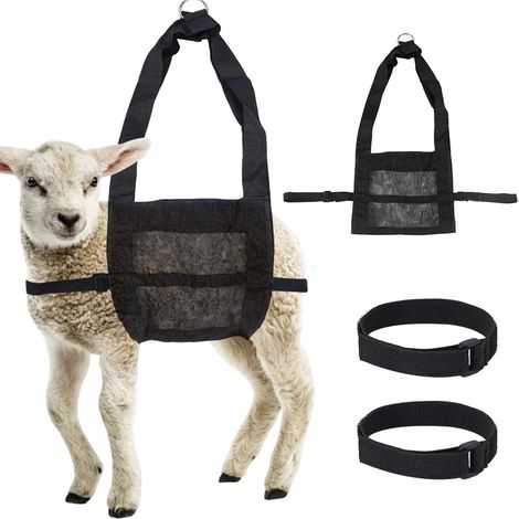 4 élingue pour Veau pour Peser les Animaux Balance Portable Suspendue pour Veaux avec 2 sangle Renforcée et Réglable Idéale pour les Petits Chevreaux et Agneaux Nouveau Nés. (1/5)