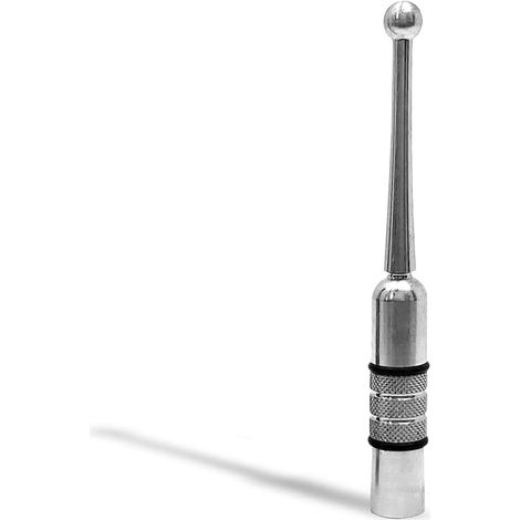 Antenna per Auto Autoradio Universale, 10, 5 cm (Silver) (1/5)