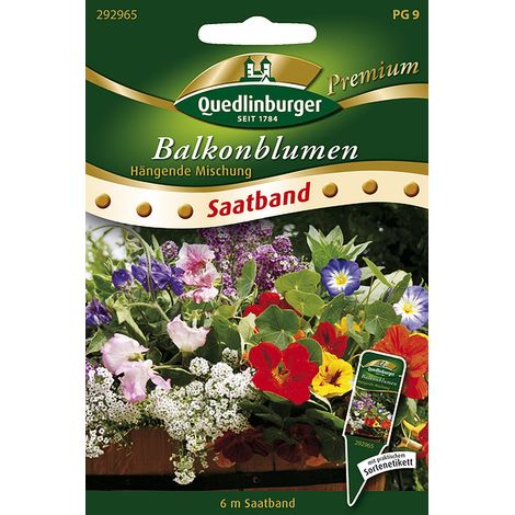 Quedlinburger Saatgut – Fleurs de balcon retombantes en mélange – Ruban de semis 6 mètres, port retombant