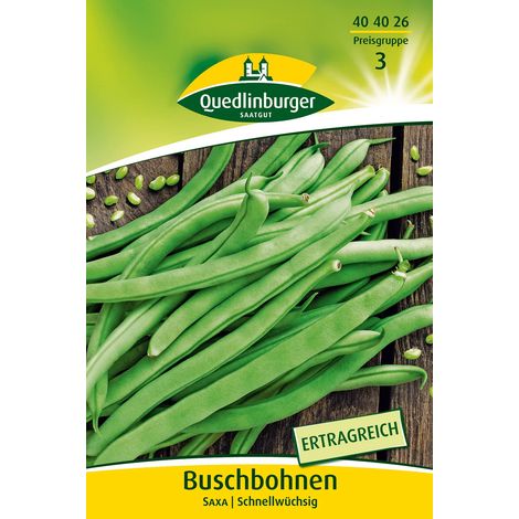 Quedlinburger Buschbohnen Saxa - Gemüsesamen (1/2)