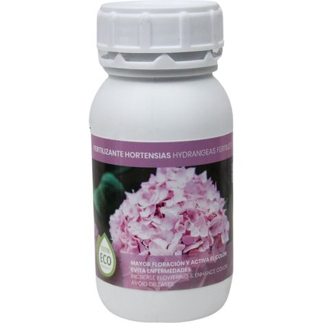 Kultivans spezifische Hortensias kolygisch wenig